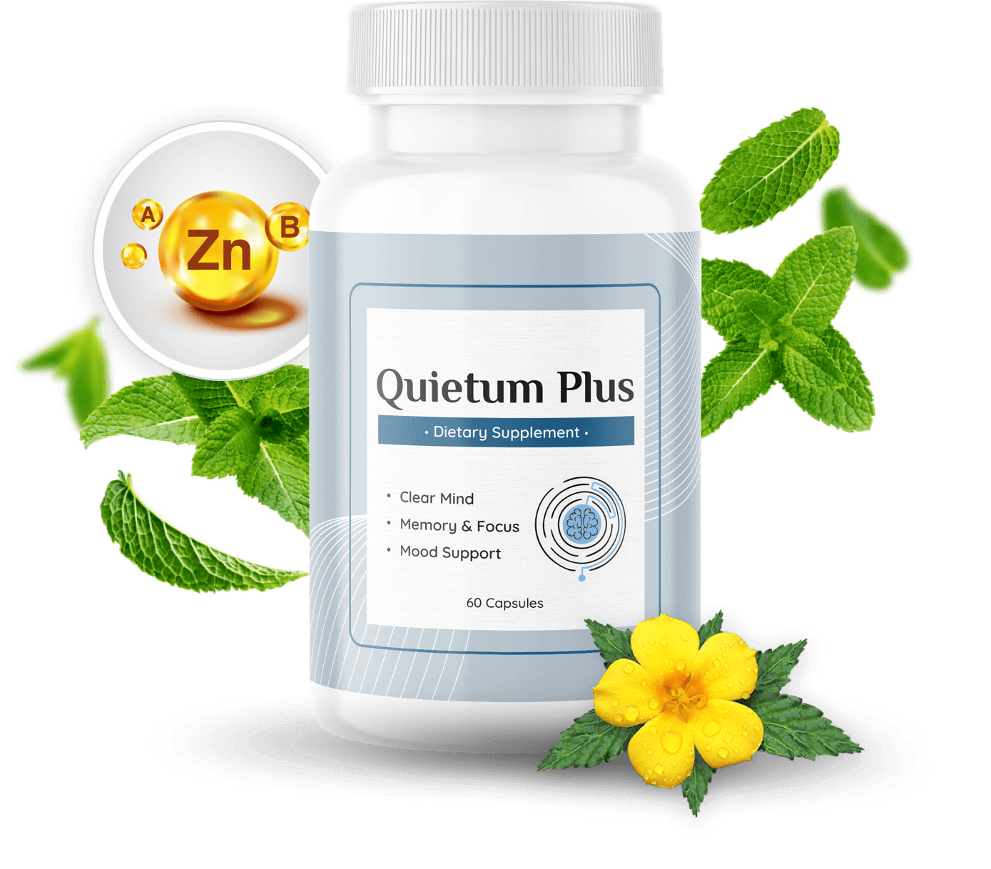 Quietum Plus with ingredeints